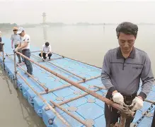 2024意大利杯赛程表 2024意大利杯赛程表